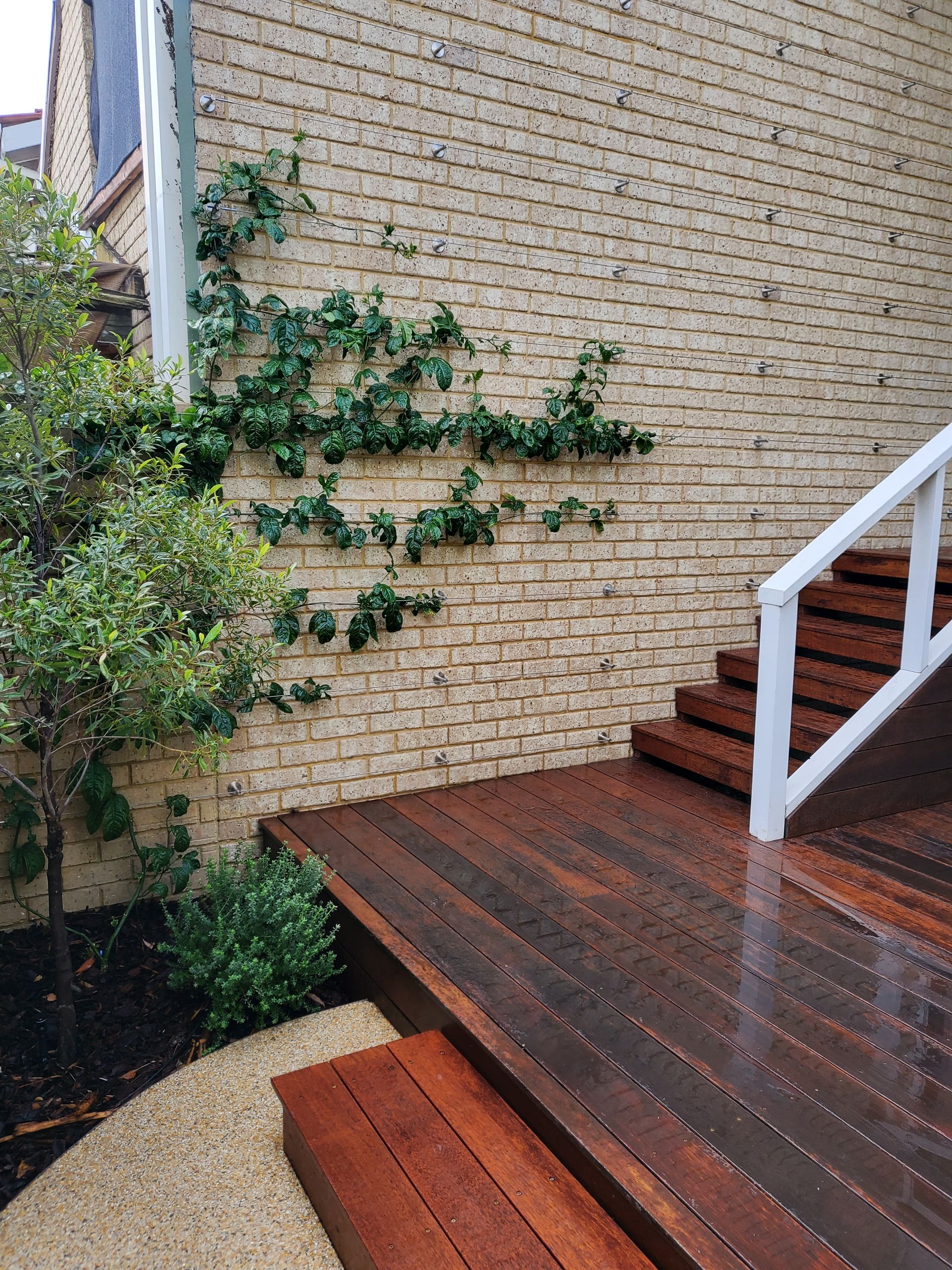 Wooden deck with stairs beside a tan brick wall and climbing passionfruit