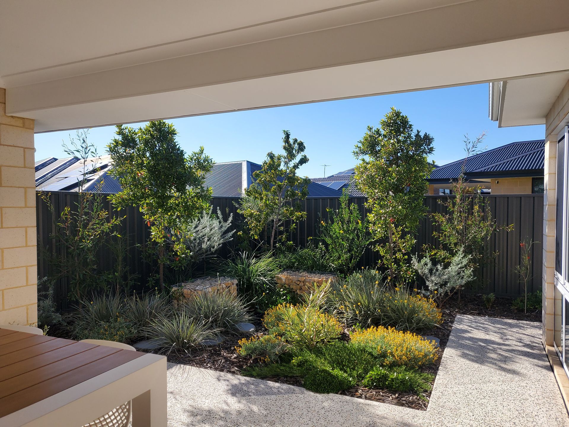 Backyard garden with trees, yellow and green plants, and decorative rock seats against a black fence, sunny sky.