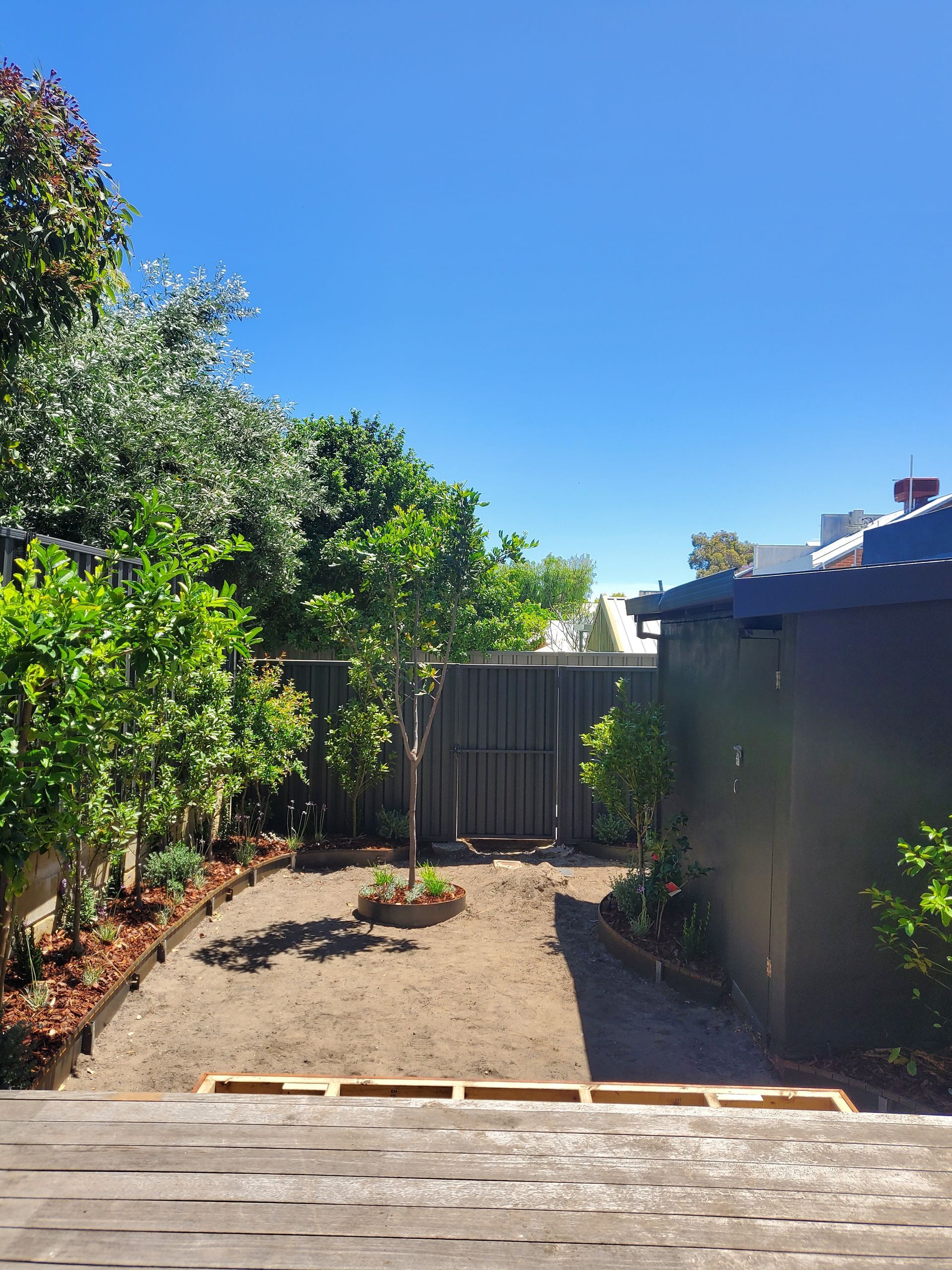 Backyard with small trees, shrubs, and dirt. Blue sky overhead.