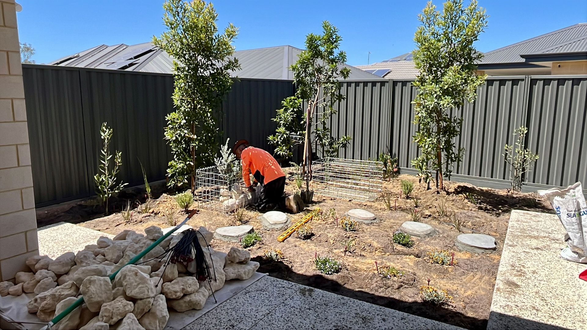 Person in orange shirt working in a garden bed with small trees and rocks, backed by a grey fence and houses.
