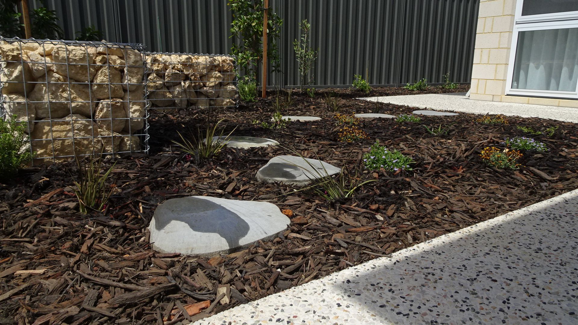 Garden bed with stepping stones, mulch, and a gabion wall.