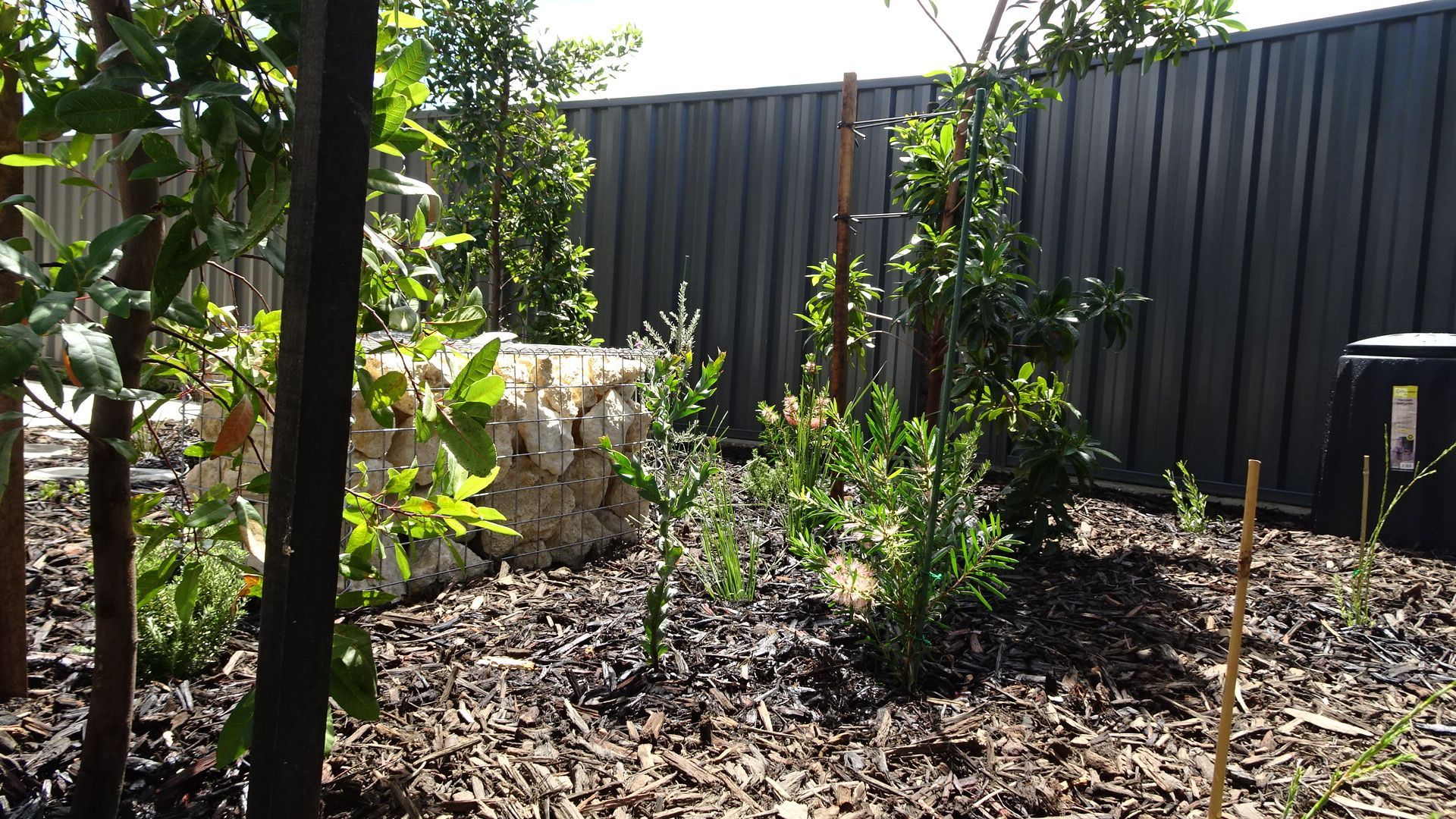 Garden with plants, rock wall, and dark fence in background. Mulch covers the ground.