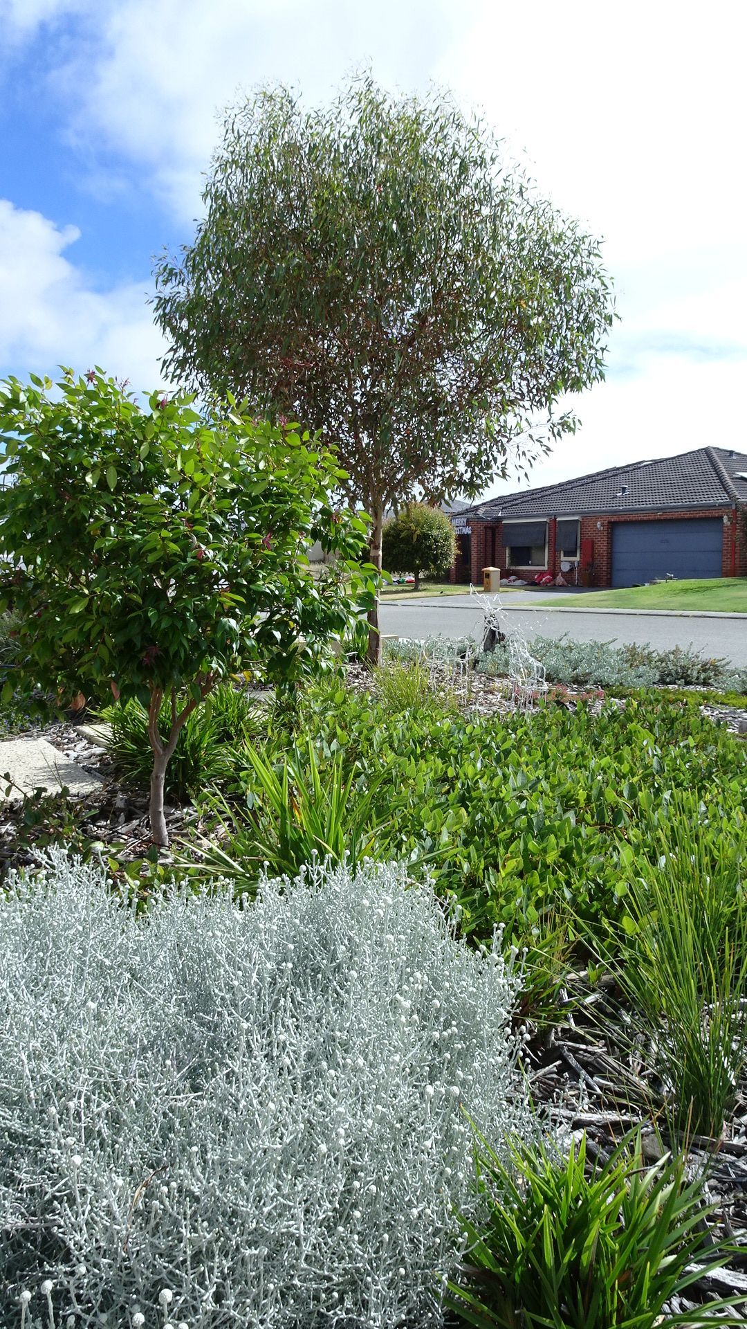 Lush garden with various plants and trees in front of houses on a sunny day.