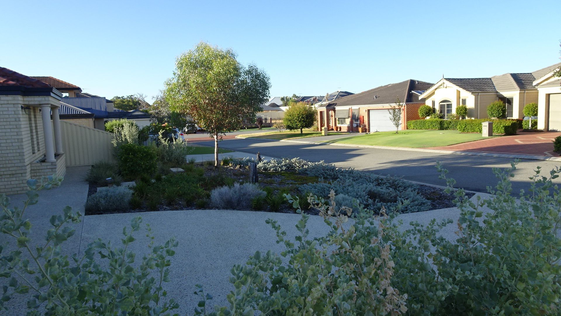 Suburban street with houses, a tree, and a landscaped garden under a clear blue sky.
