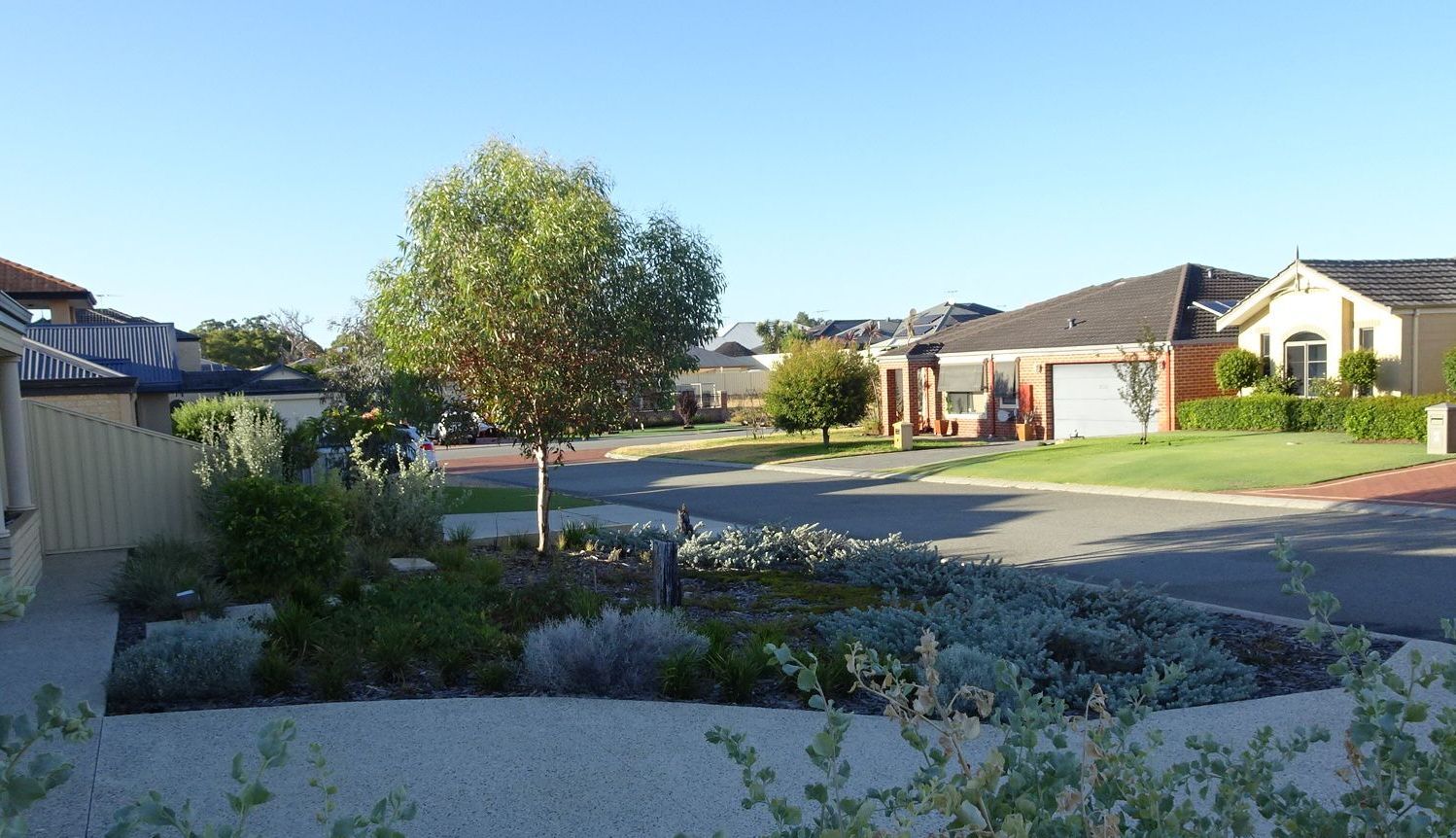 Suburban street scene with houses, trees, and gardens under a blue sky.