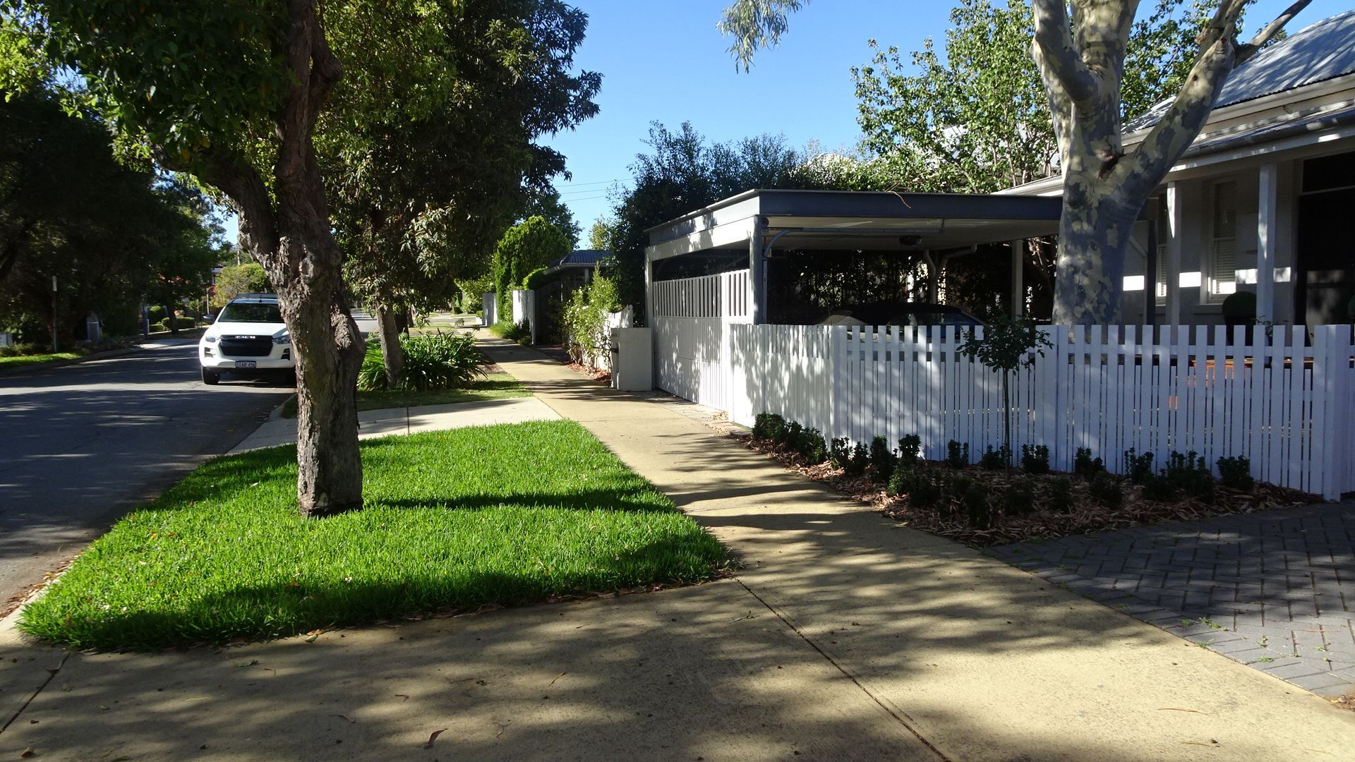 Sidewalk along a residential street lined with trees, greenery, and white picket fences. A white car drives by.
