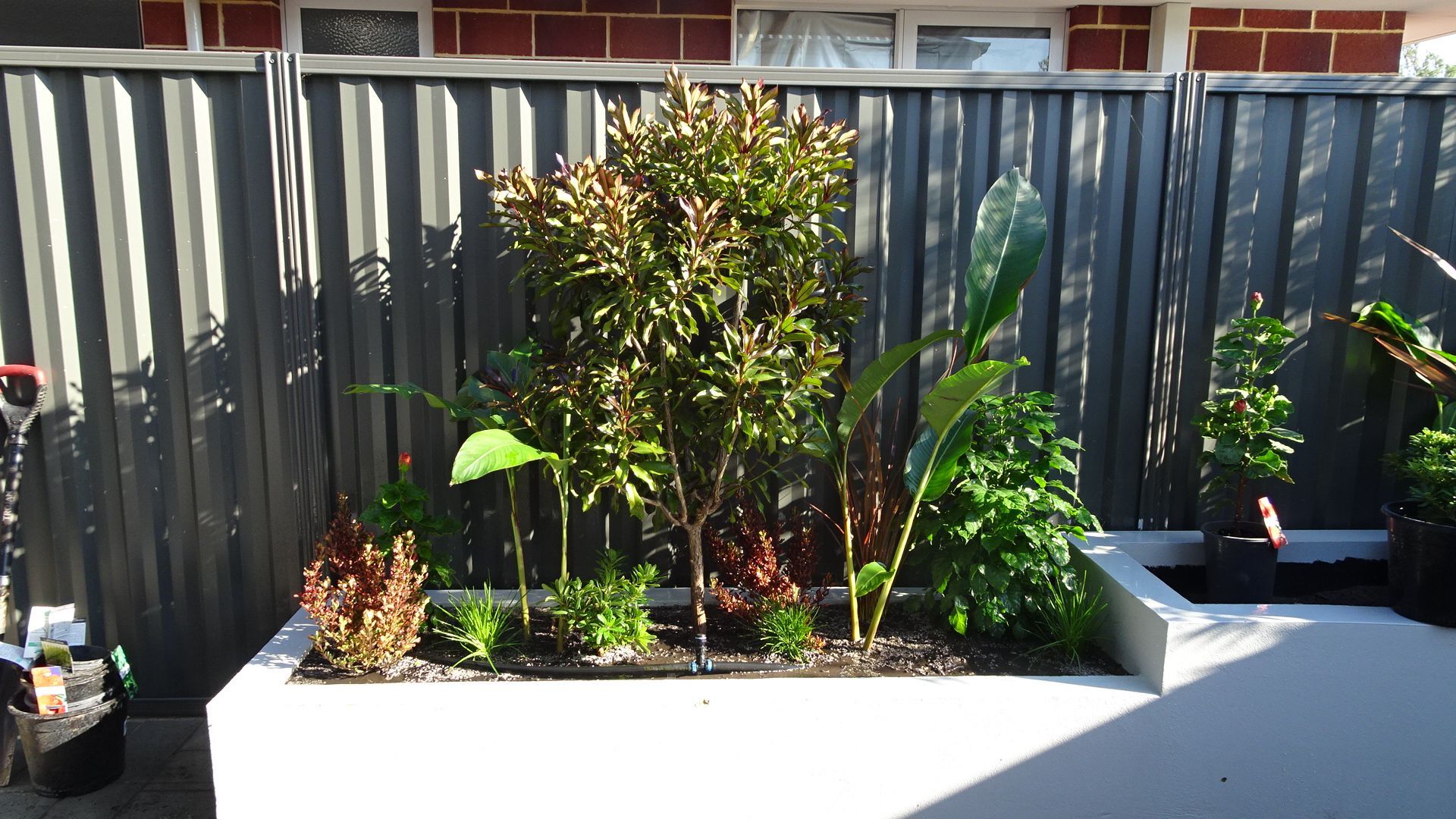 Concrete planter with various green and red plants against a black corrugated fence.