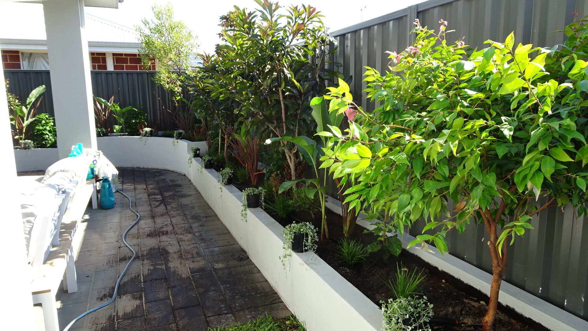 A narrow backyard with raised garden beds filled with various plants and small trees; gray fence.
