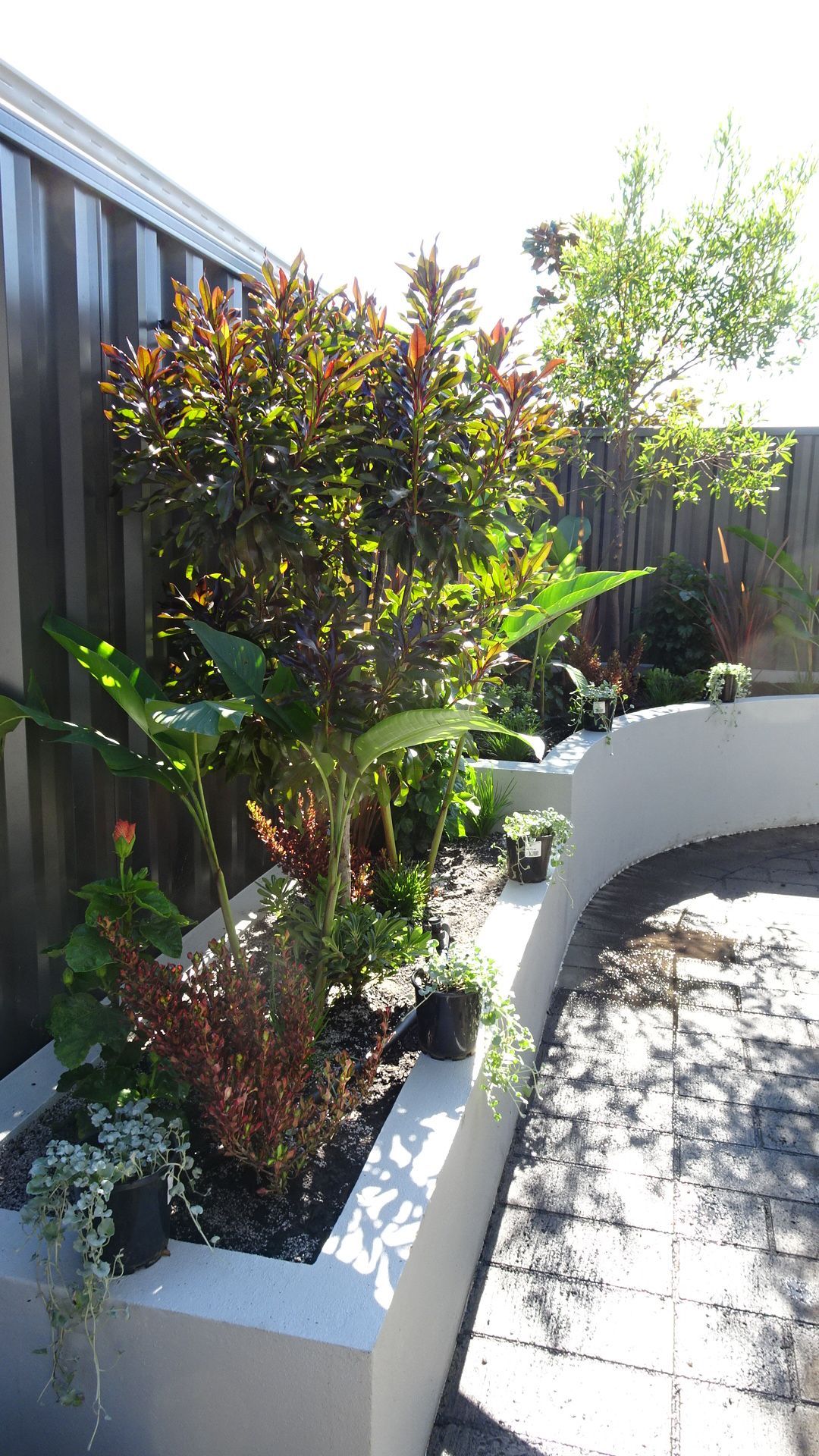 A raised garden bed with various plants and small trees along a fence.