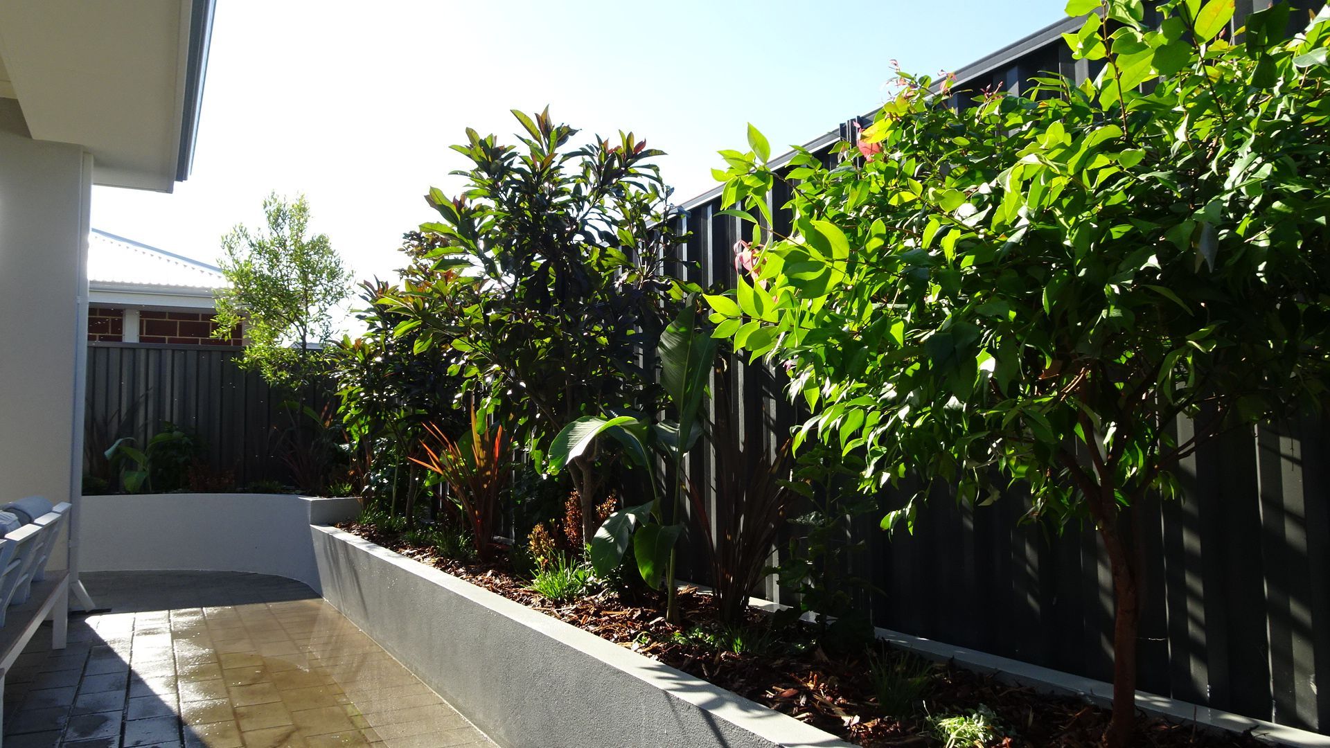 Backyard garden with lush green plants, bordering a dark fence, with sunlight.