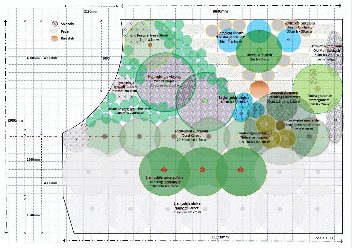 Landscape design plan with colored circles representing trees and other features.