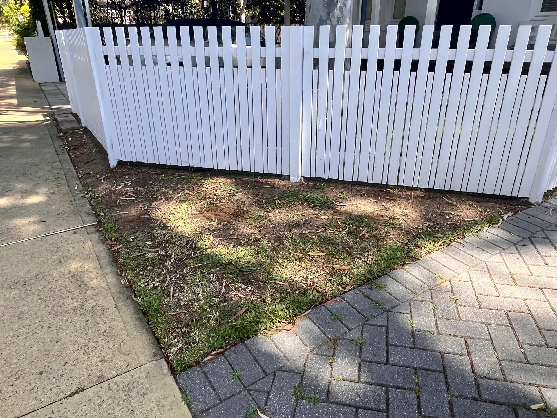 White picket fence bordering a small, unkempt patch of dirt and grass next to a sidewalk.