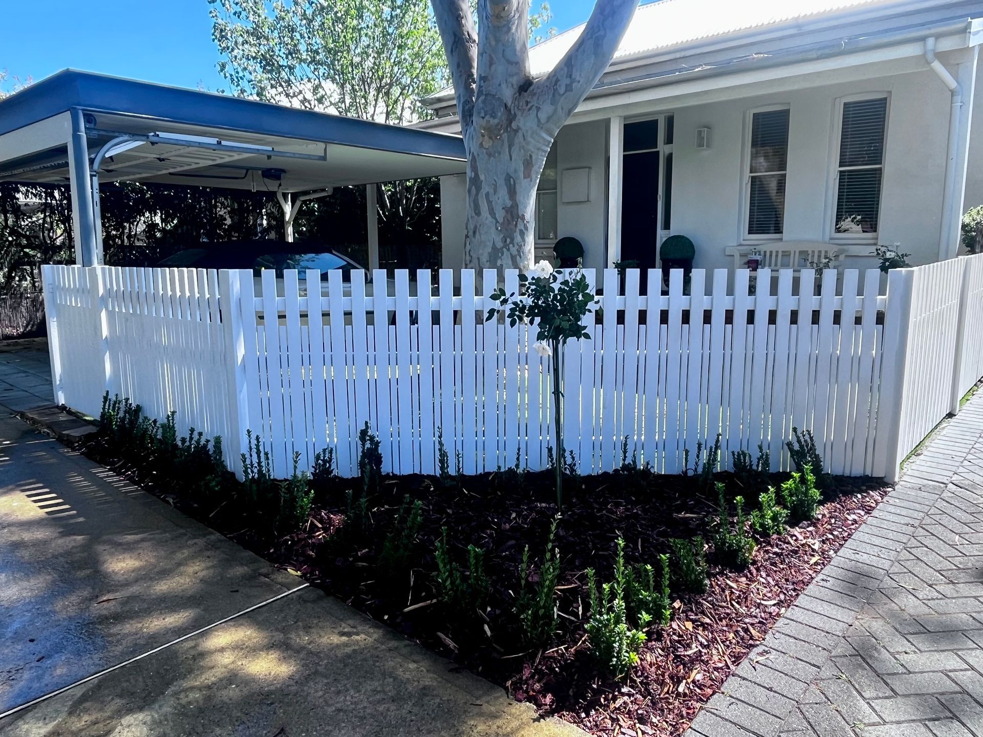 White picket fence bordering a house with a carport; small tree in front.