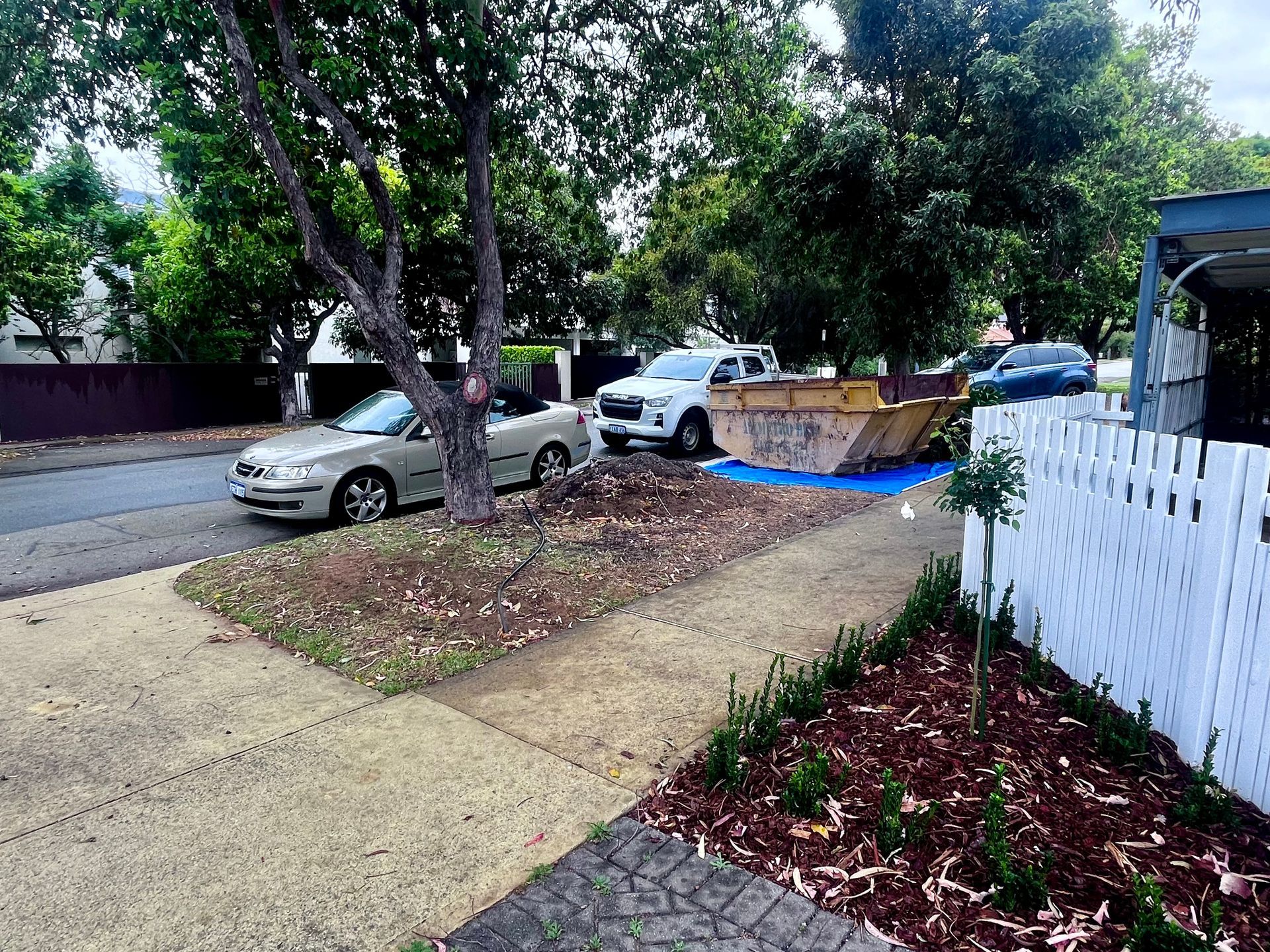 Street scene with cars, skip bin, sidewalk, and trees.