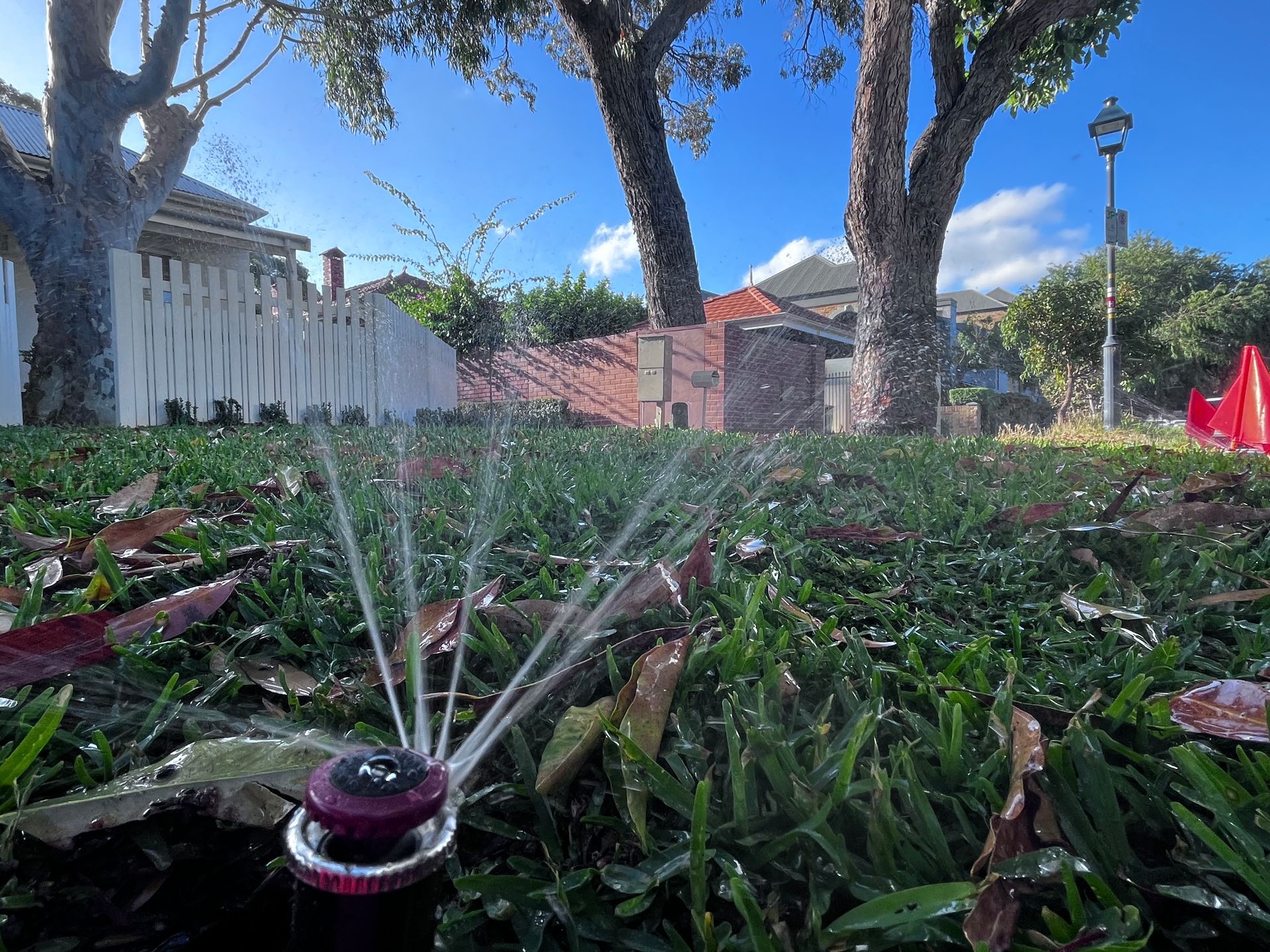 Sprinkler irrigating a green lawn on a sunny day. Houses and trees are in the background.