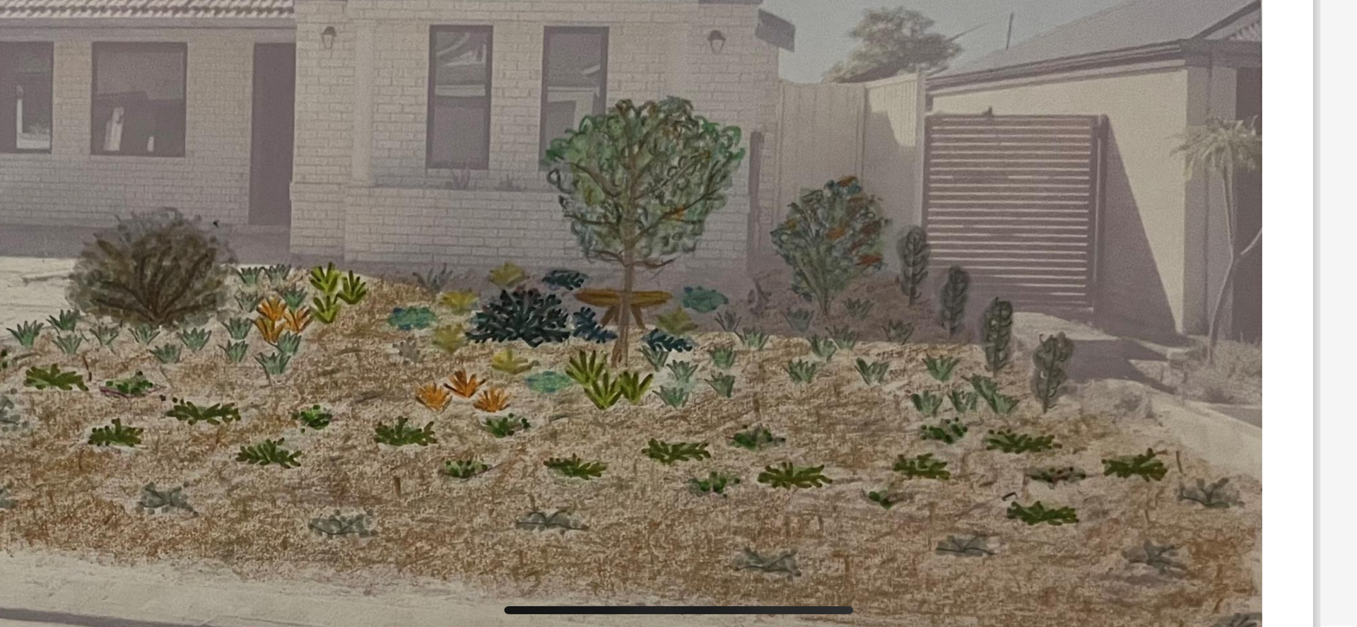 A house with a landscaped front yard featuring various plants and a decorative tree.