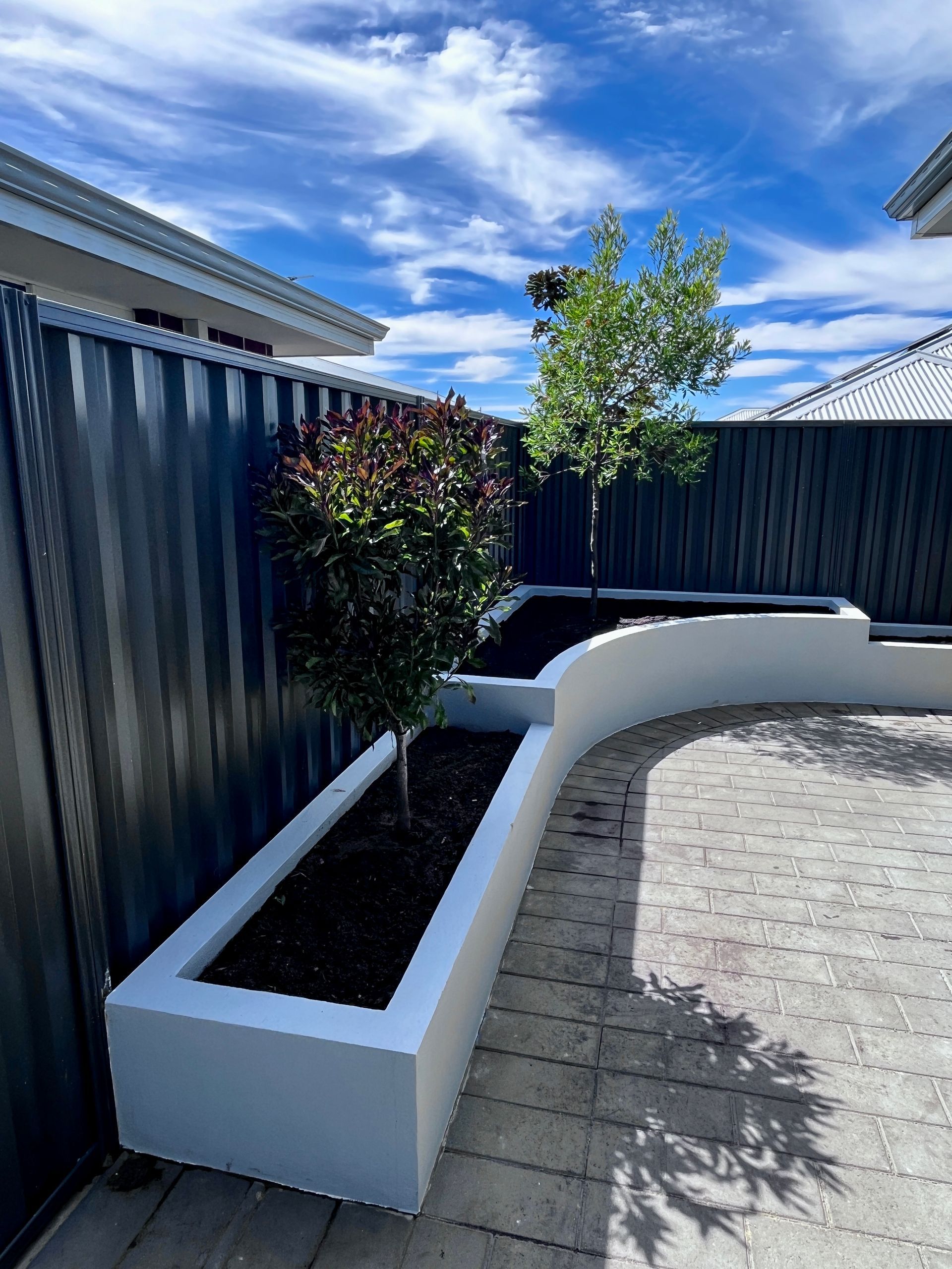 Raised white planters with small trees along a gray fence and paved patio, under a blue sky.