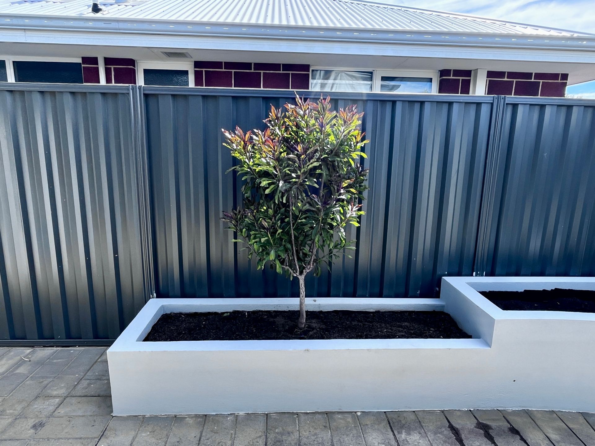 Tree in a gray planter box in front of a gray metal fence and building with red trim.