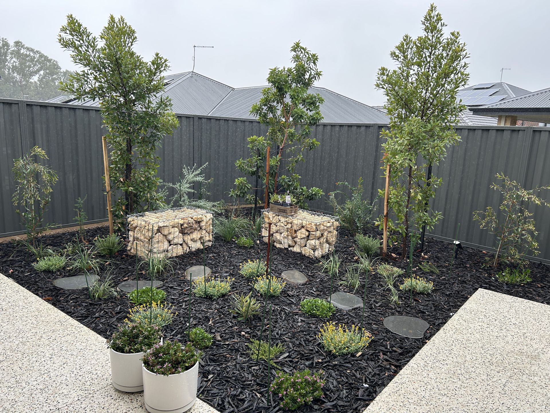 Backyard garden with black stone groundcover, trees, stone structures, and white potted plants.