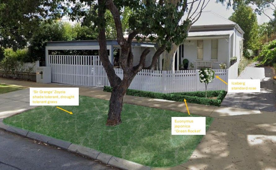 A house with a white fence, green grass, and a tree in front. A driveway and sidewalk are visible.