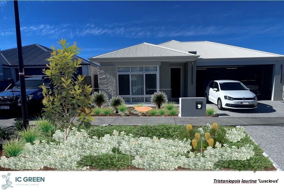 Suburban house with front yard landscaping and a car in the garage.