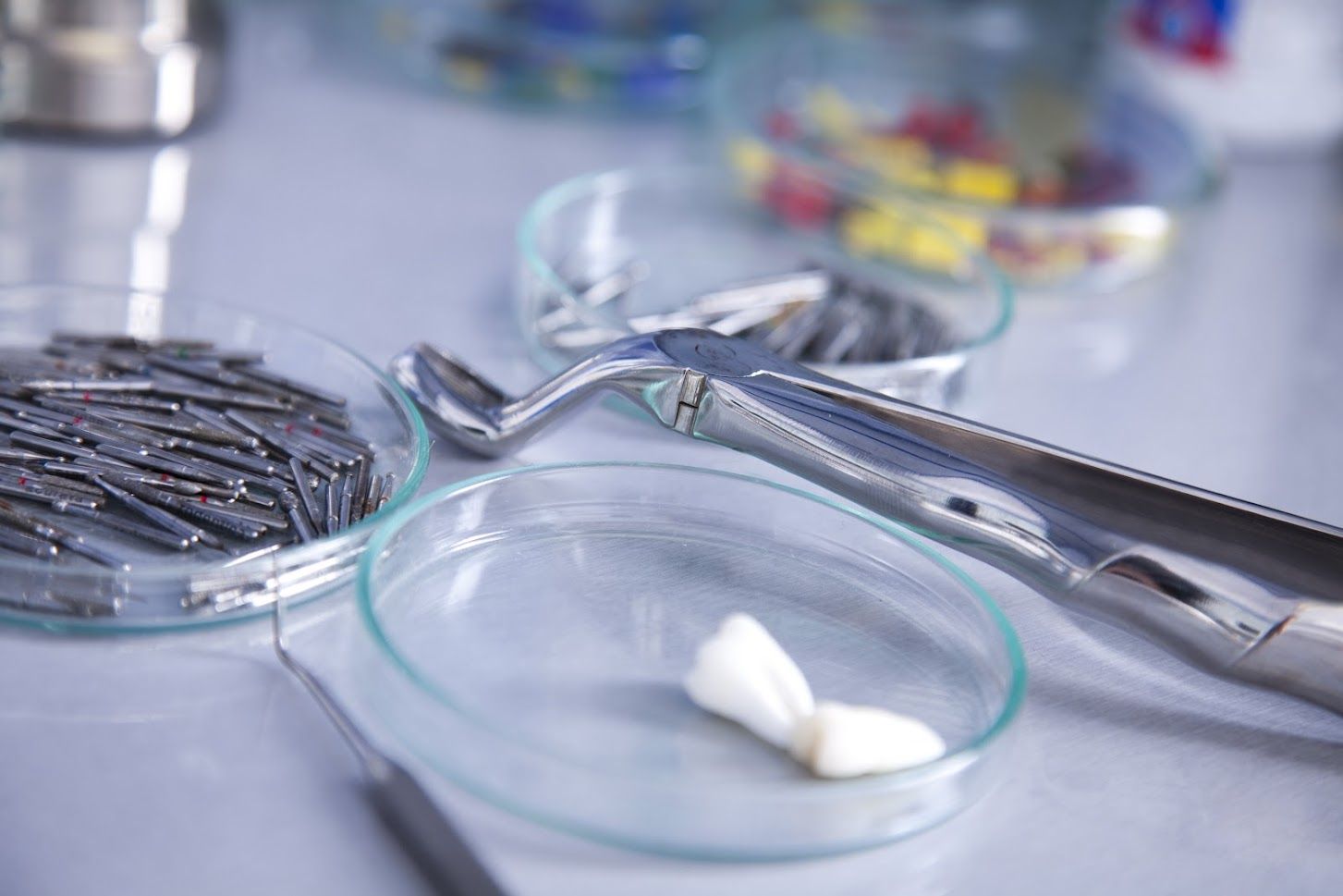 Dental tools and a tooth on a lab surface.