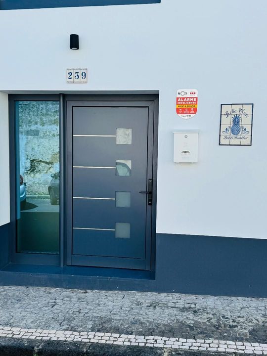 A modern gray door with horizontal windows next to a side panel, with address 239 and a security sign on a white wall.
