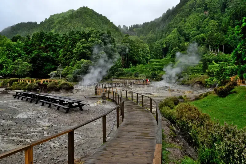 A wooden boardwalk winds through a geothermic area with steaming volcanic vents, picnic tables, and lush green hills.