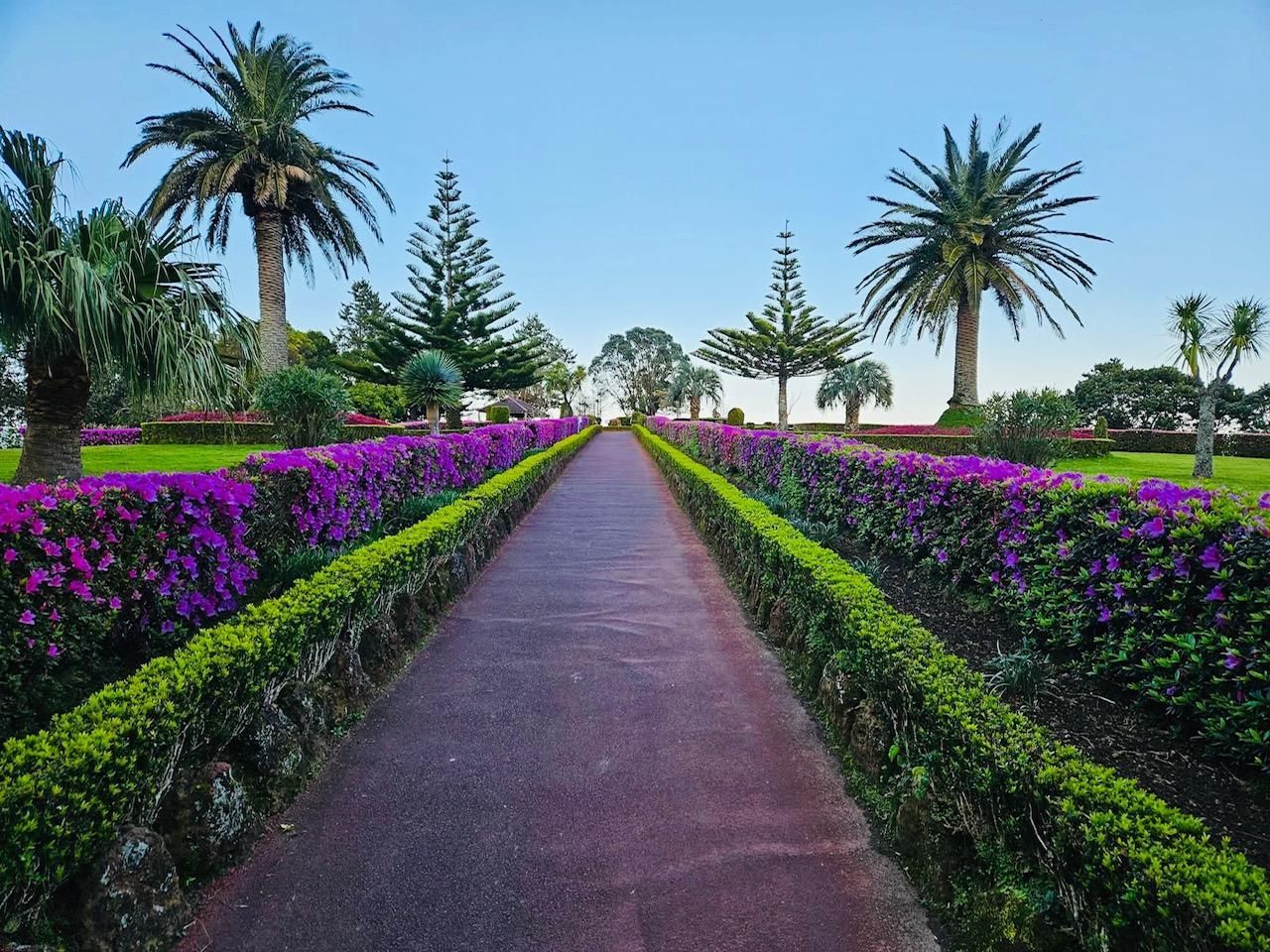 A straight, red-paved garden path flanked by neatly trimmed green hedges and vibrant purple flowers under a clear blue sky.