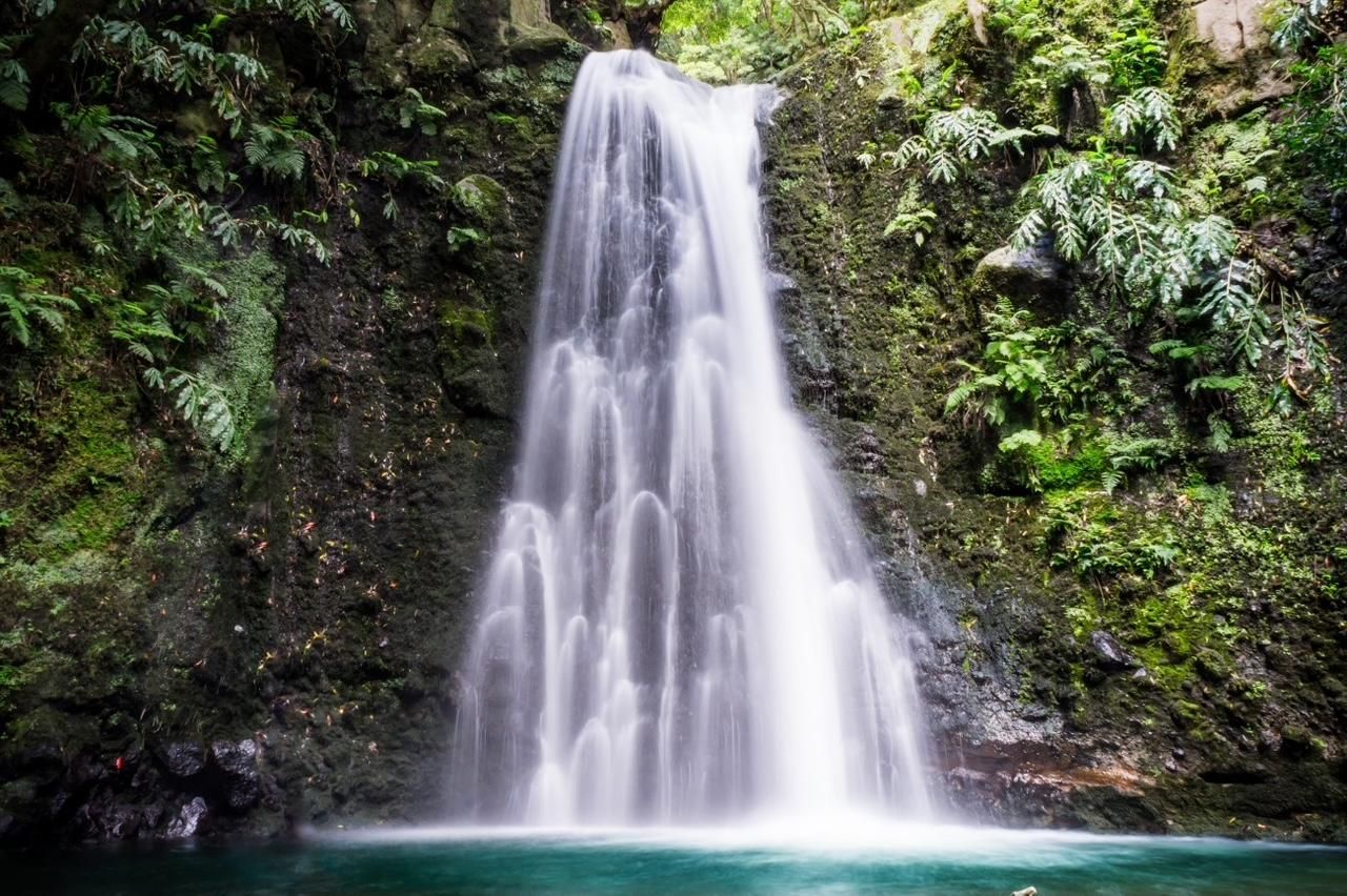 A waterfall cascading down a lush, mossy rock face into a clear pool surrounded by dense green forest.