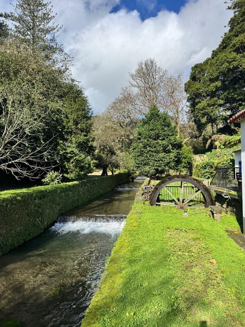 A narrow stream with a small waterfall flowing past a grassy bank and a wooden water wheel in a lush, green park.