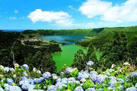 Lush green caldera featuring blue and green lakes, surrounded by hills and blooming blue hydrangeas under a sunny sky.