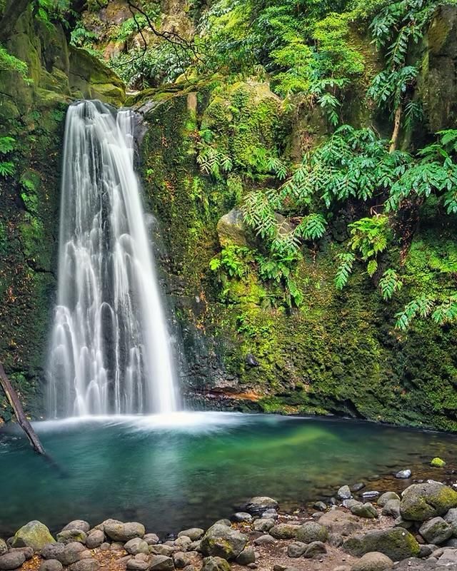 A waterfall cascades into a clear, teal pool surrounded by mossy rocks and lush green foliage in a forest setting.