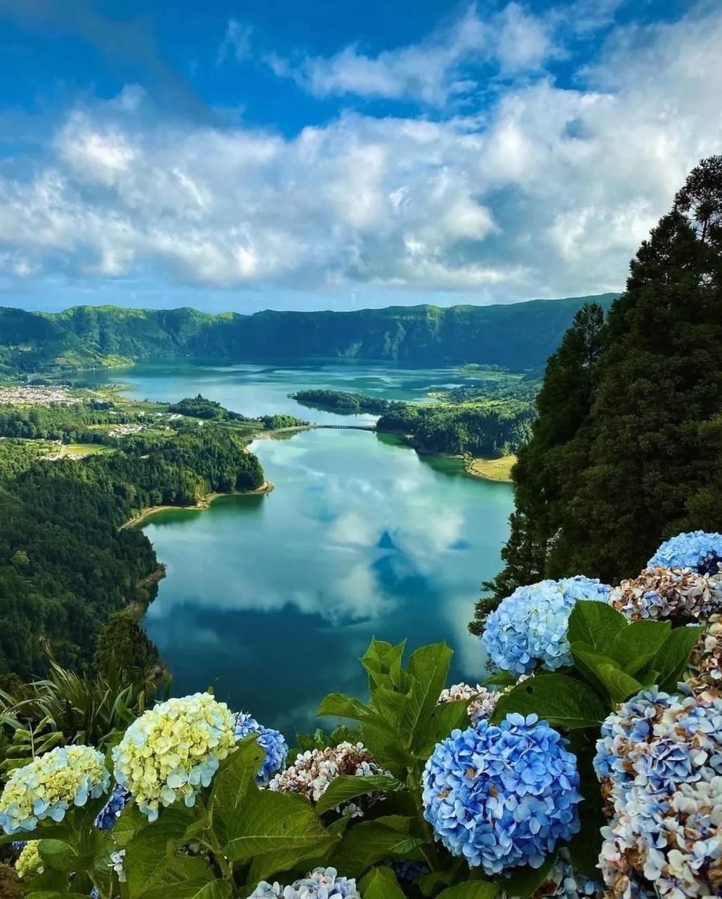 Lush green caldera lake reflecting clouds, framed by vibrant blue and yellow hydrangea flowers in the foreground.