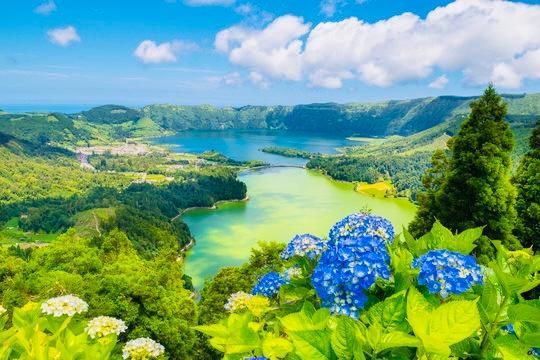 A scenic view of Sete Cidades lakes in the Azores, with blue hydrangeas in the foreground and a lush volcanic landscape.
