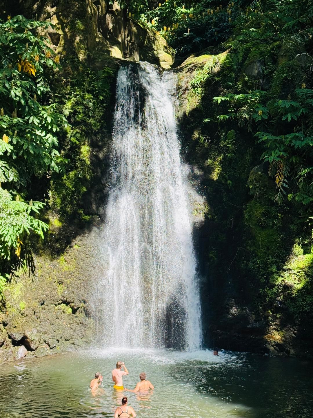 People swimming in a pool beneath a tall waterfall surrounded by lush green foliage.
