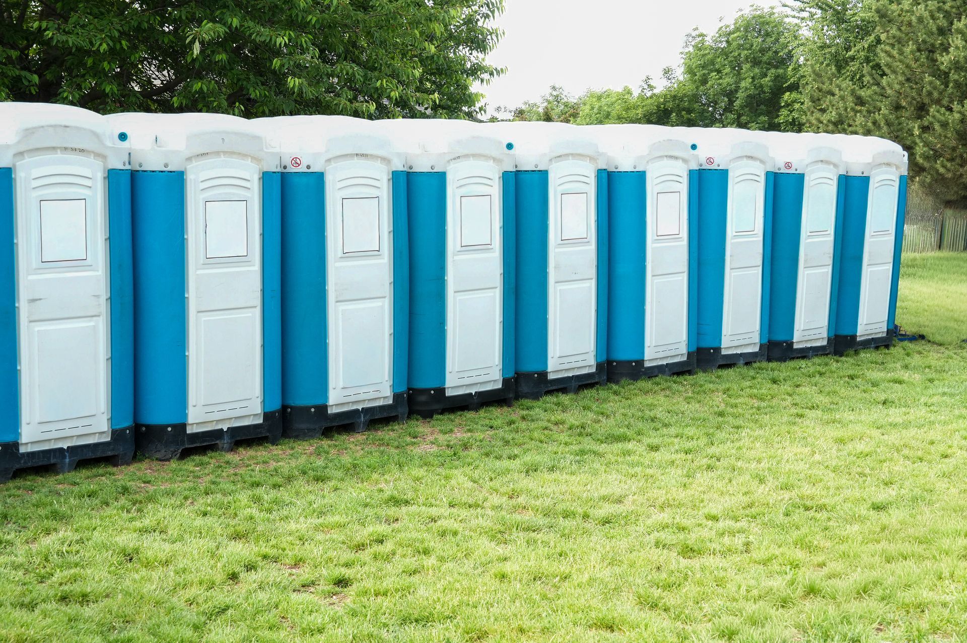A row of blue and white portable restroom units lined up outdoors on grass near trees