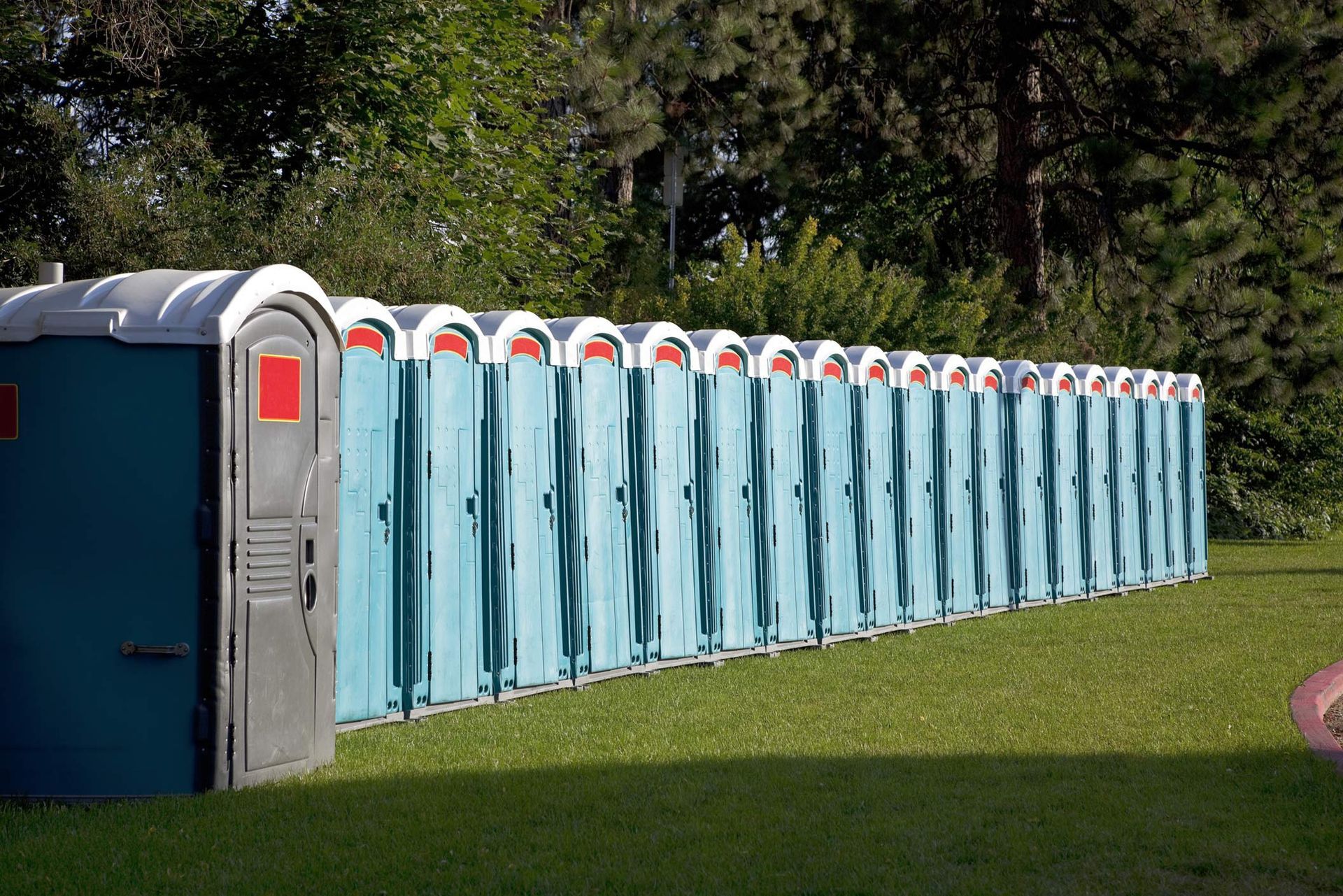 A row of portable toilets is in a park with trees in the background.