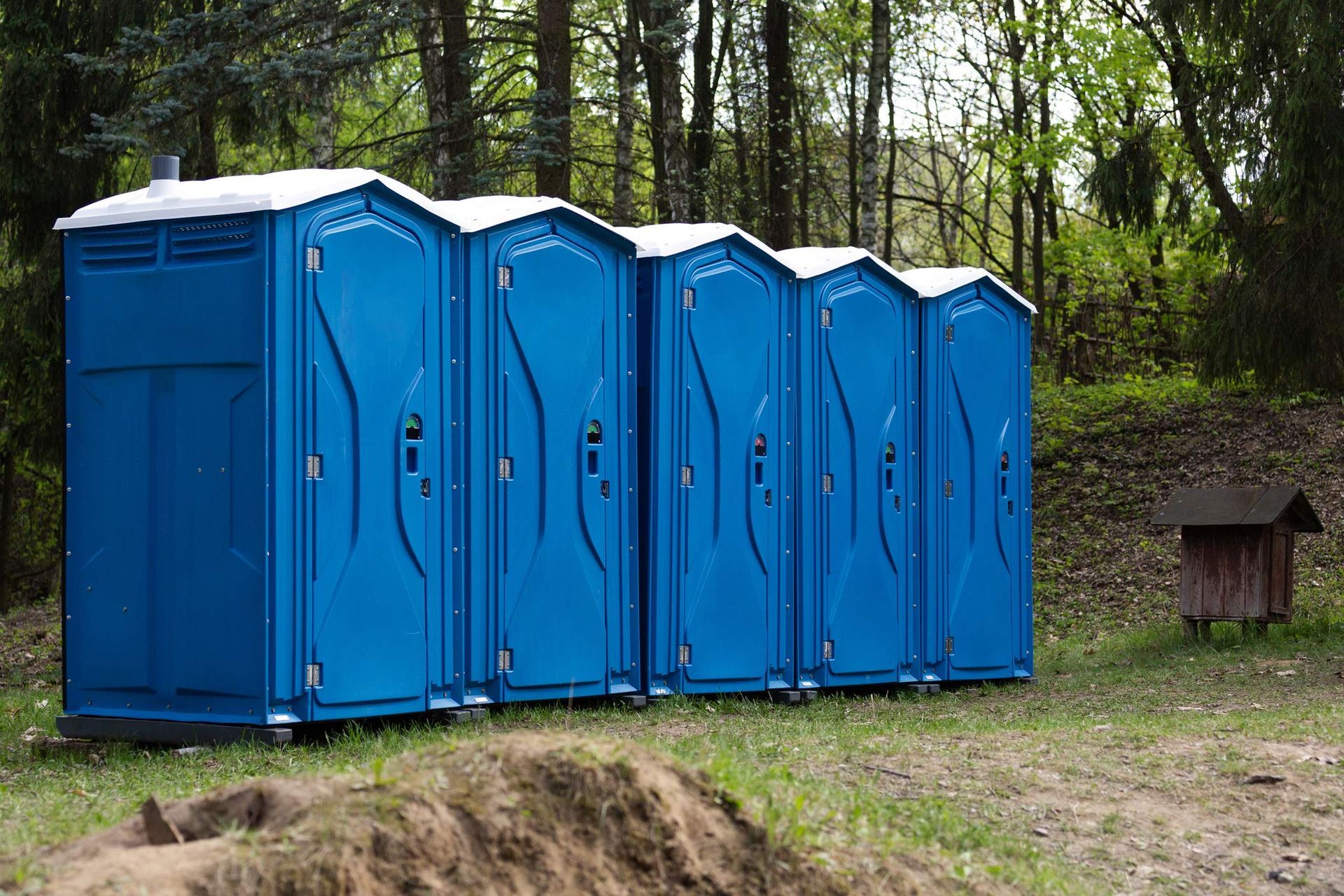 Five blue portable toilets lined up in a wooded outdoor area.