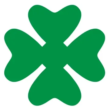 A green four leaf clover on a white background