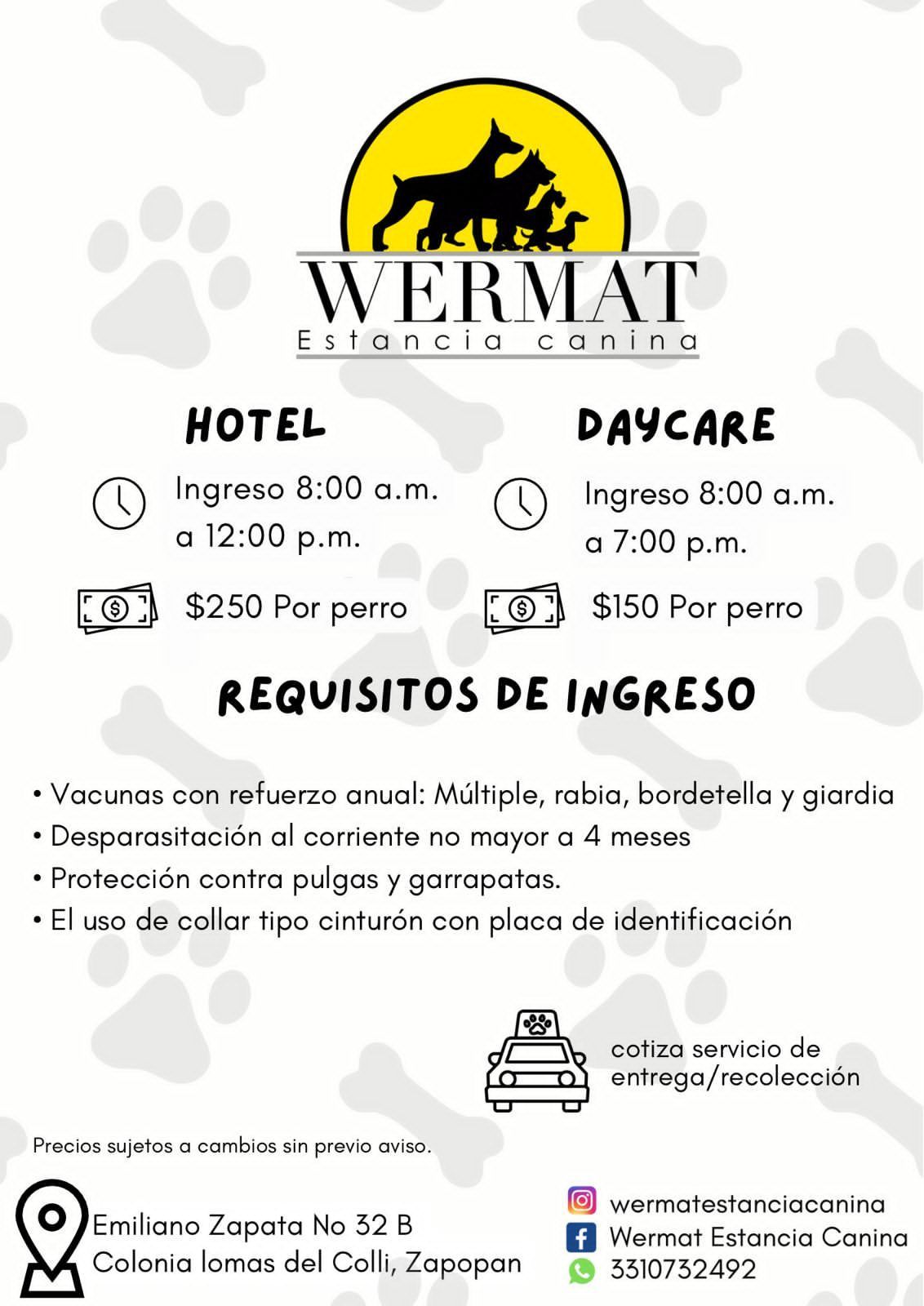 hotel canino guadalajara