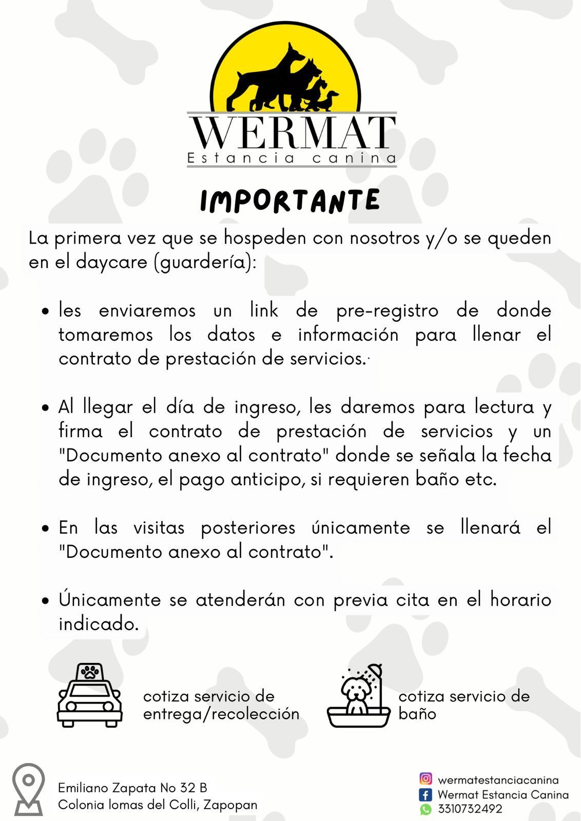 hotel canino guadalajara