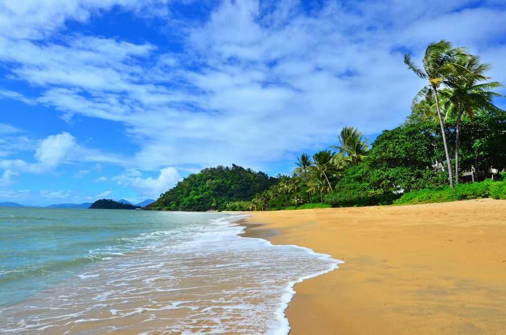 A Tropical Beach With Palm Trees and a Blue Sky on a Sunny Day — Cairns Floors and More In Trinity Beach, QLD