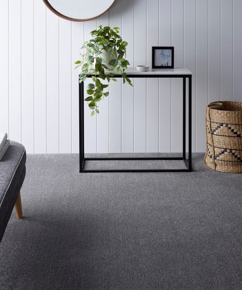 Carpet Flooring With Table, Plants And Picture Frame — Cairns Floors and More In Bungalow, QLD