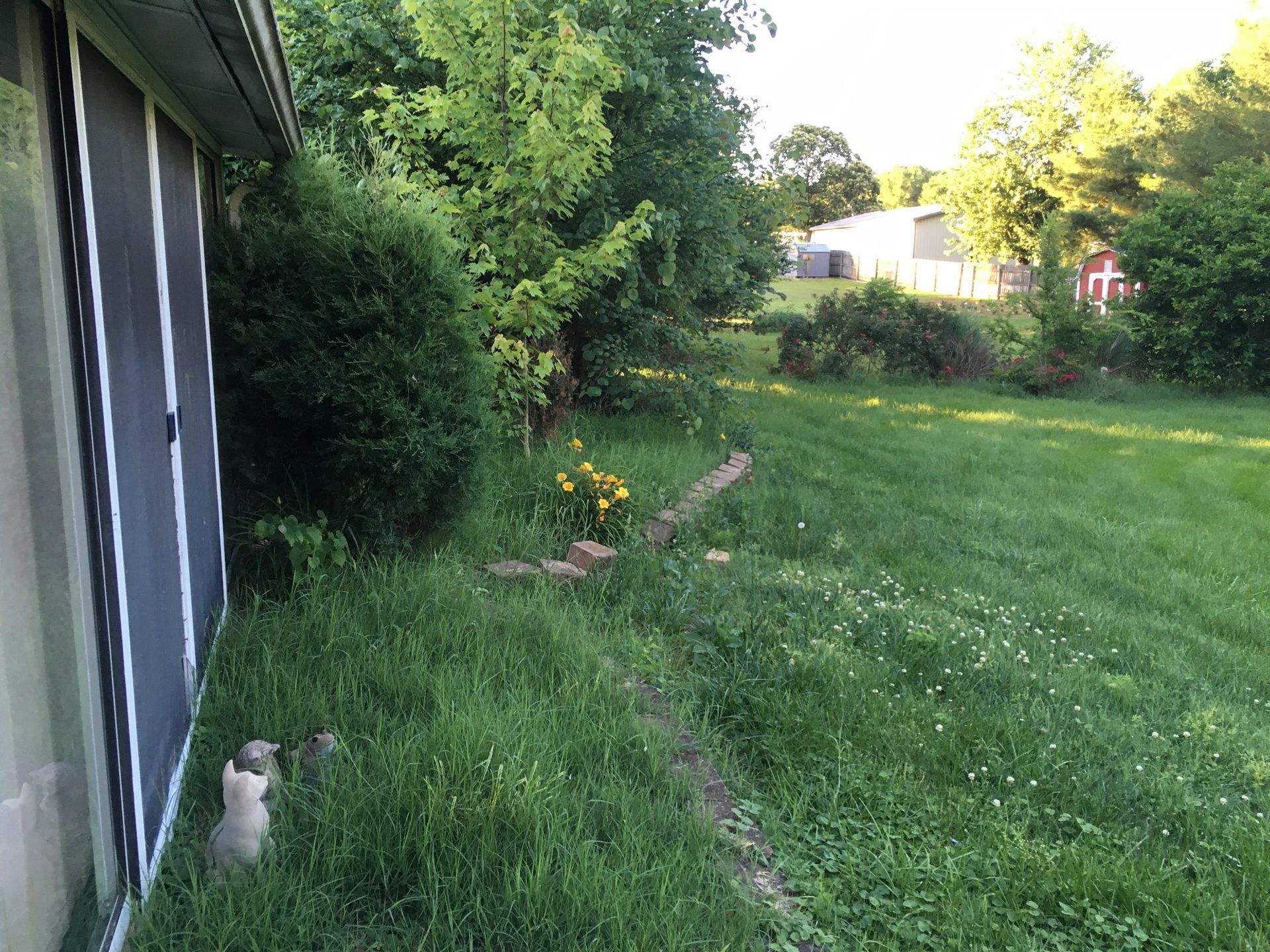 Grassy backyard with dense trees, a house at left, and a small dog near the edge of the lawn.