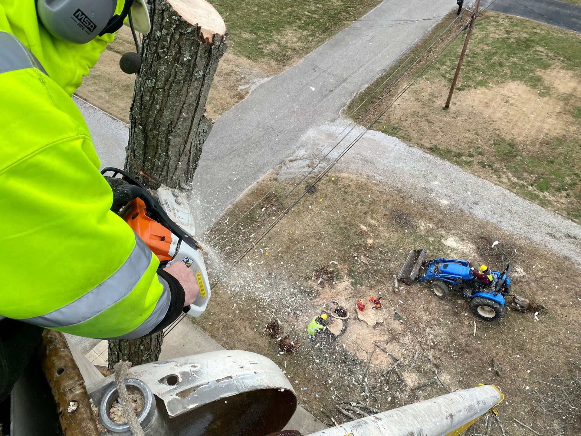 Tree worker using a chainsaw on a trunk over a sidewalk, with a blue toy tractor below.