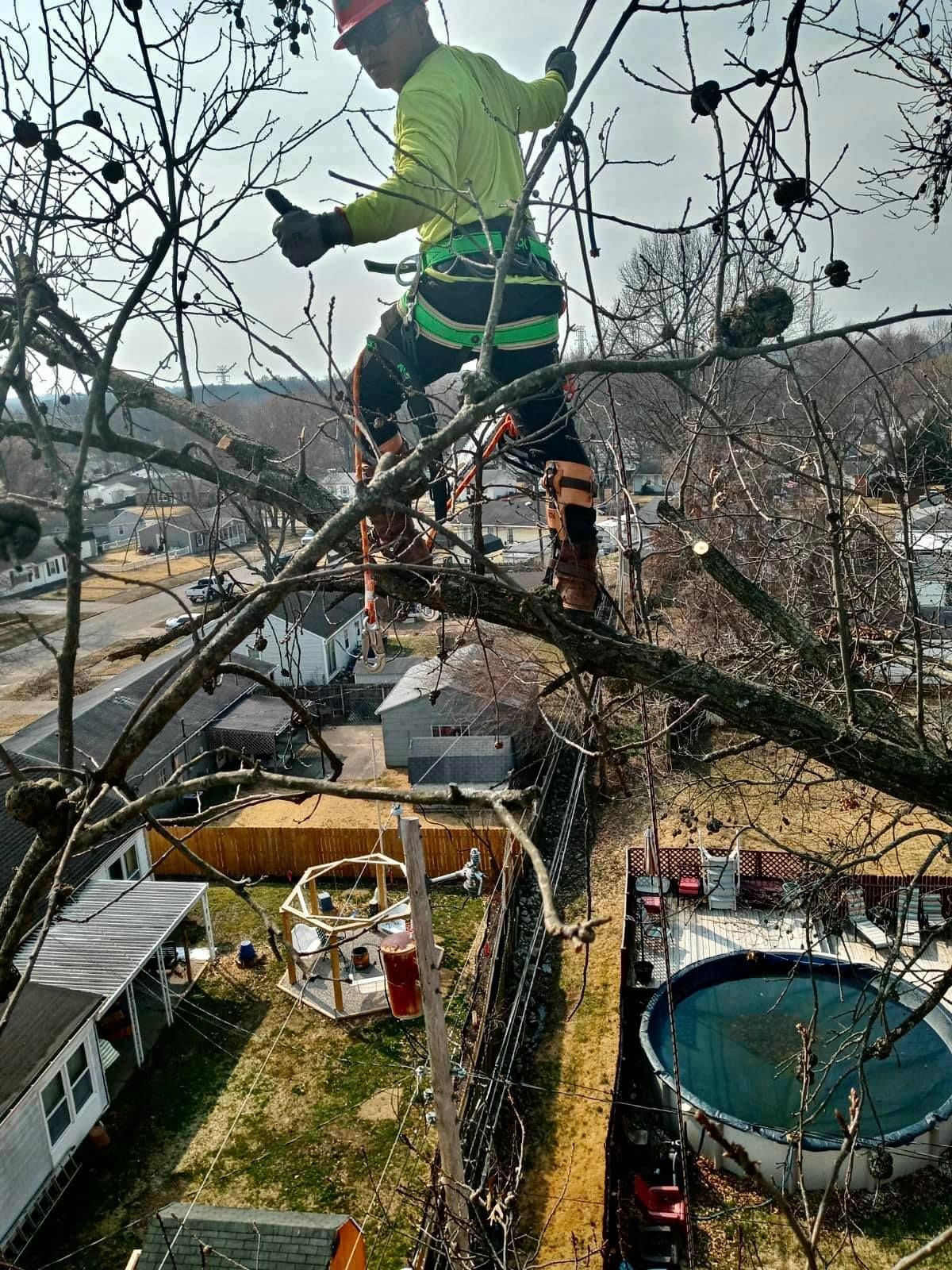 Worker in neon safety gear trimming tree branches above a backyard with a trampoline and patio below
