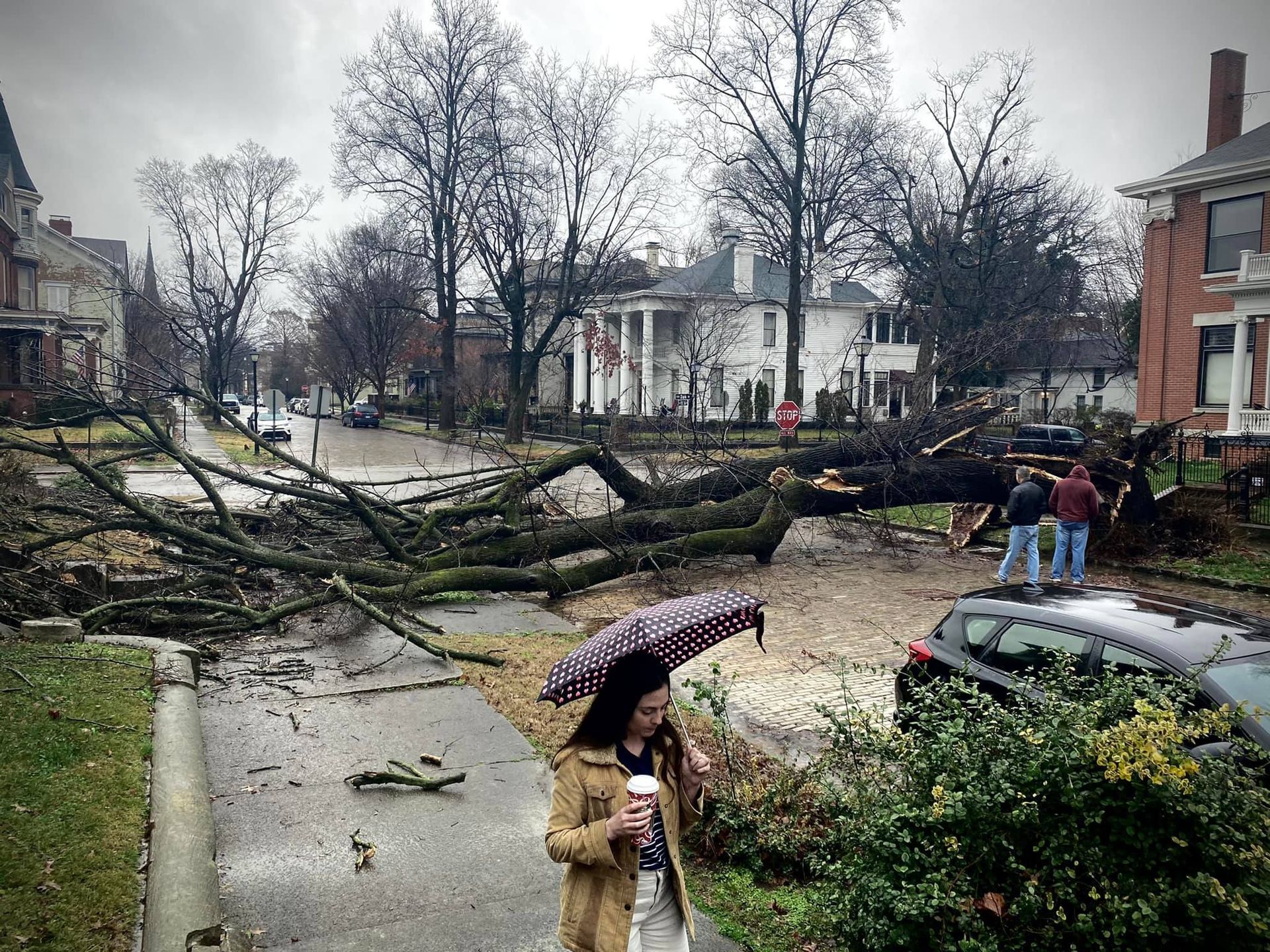 Storm-damaged neighborhood street with fallen trees, debris, and residents walking under umbrellas