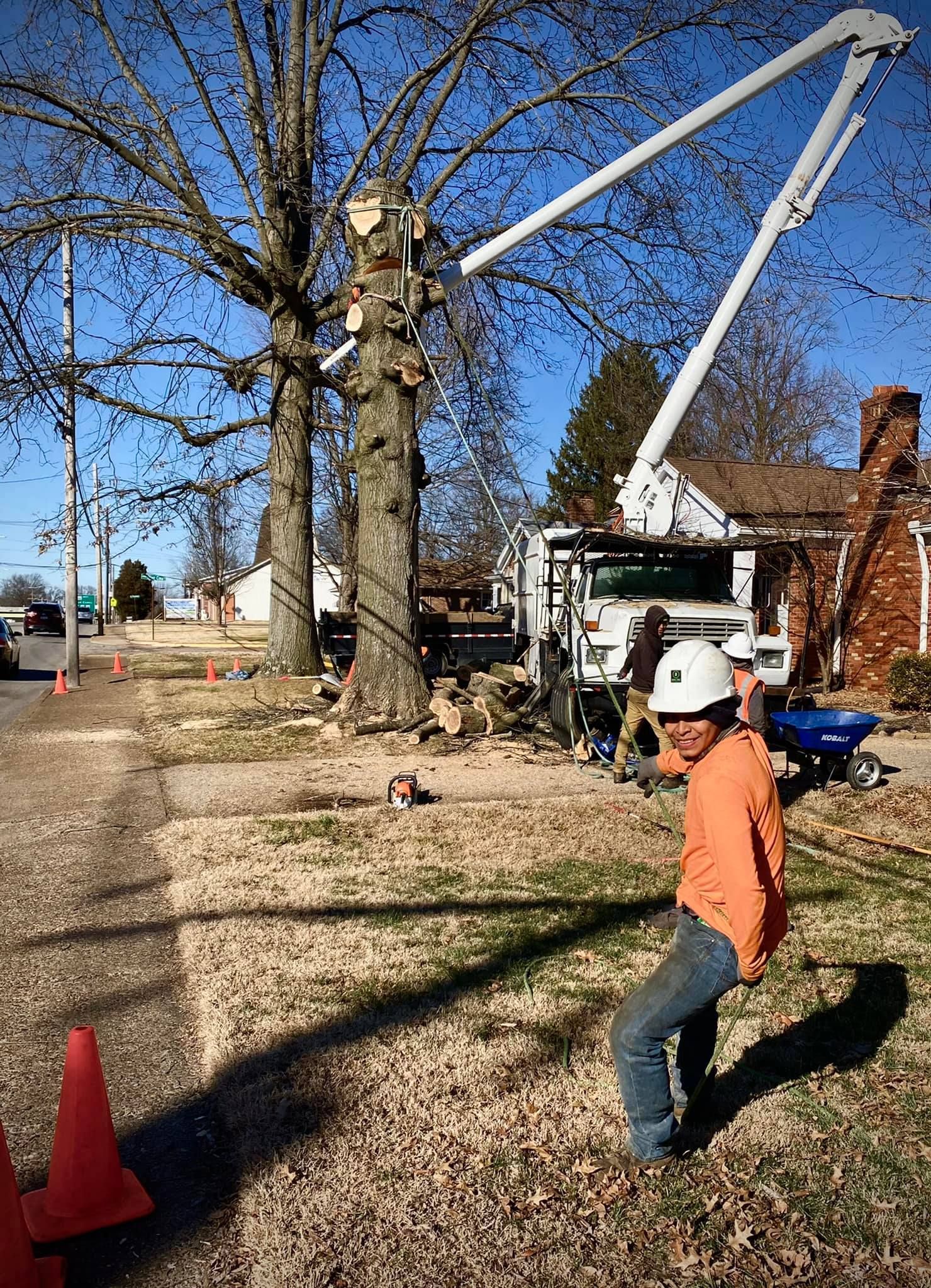 Worker in orange jacket and hard hat near a tree-trimming bucket truck on a sunny street