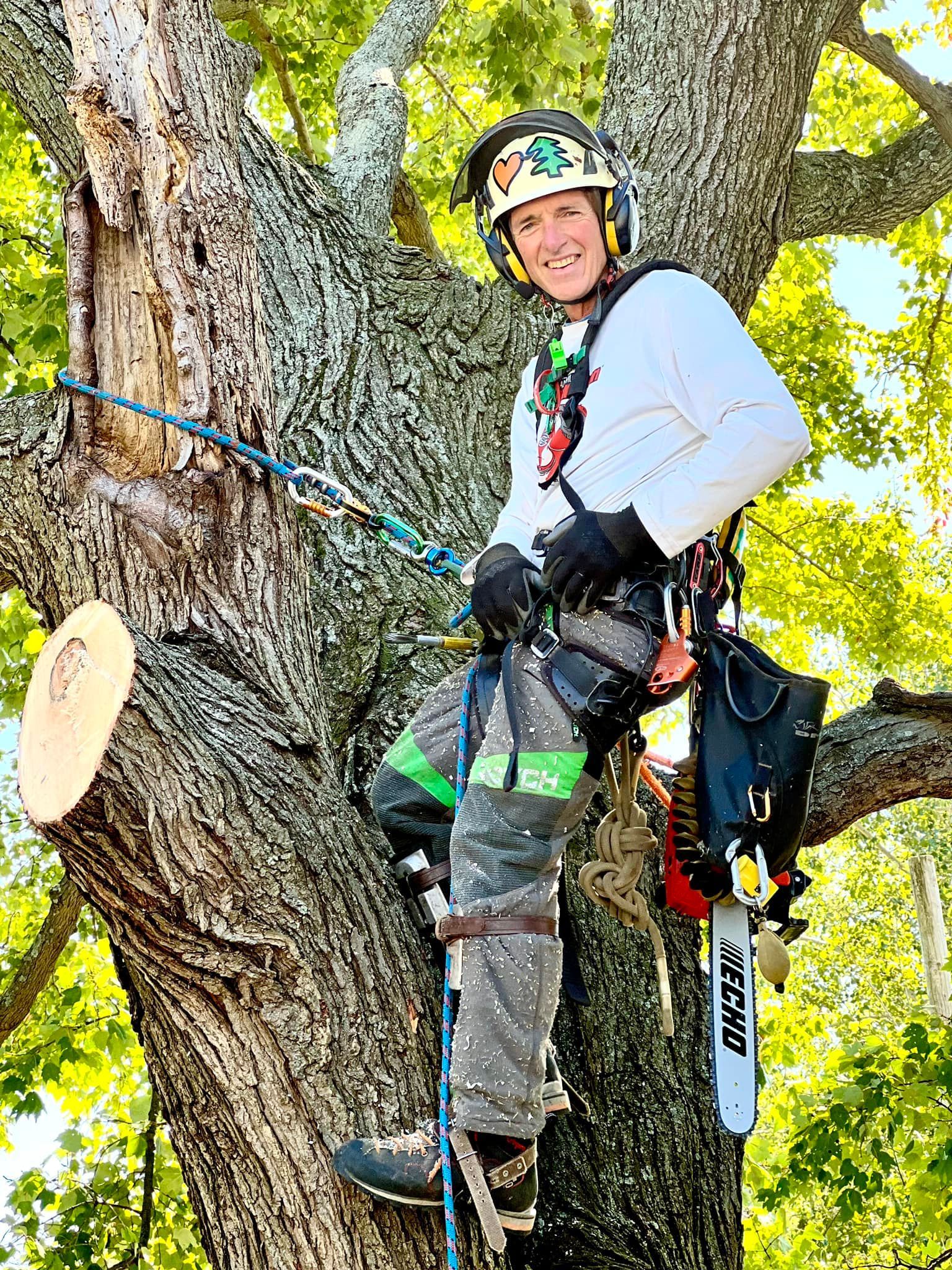 Tree climber in helmet and safety gear resting on a large tree branch with ropes attached